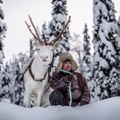 Reindeer and a man