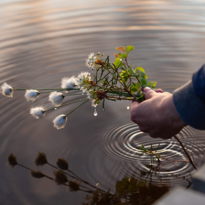 Henkilö pitää kädessään veden yllä kimppua, jossa on erilaisia kasveja.
